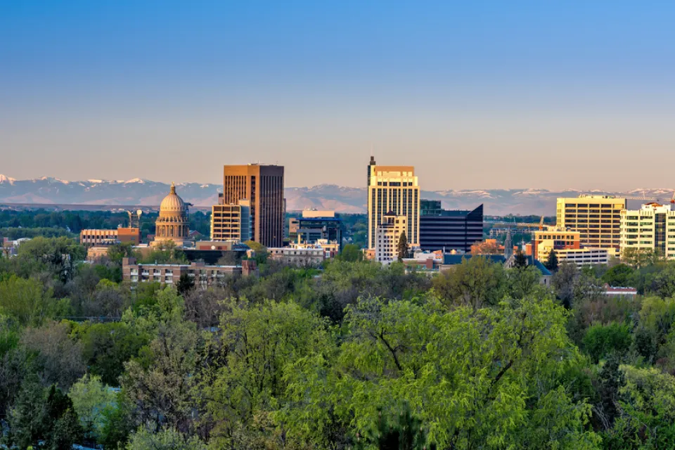 A view of the Boise skyline, across tress int he foreground. The state capitol is visible amongst other office buildings.